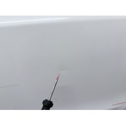 Porta Posteriore Sinistra Fiat Panda 169 2003 2012 Colore Bianco Usata  B3575