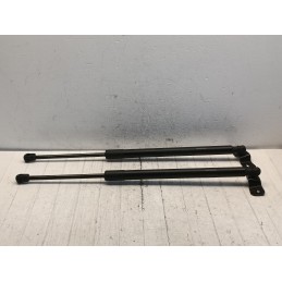 Coppia pistoncini molle portellone posteriore Jeep Compass 2 serie 2016  A10072