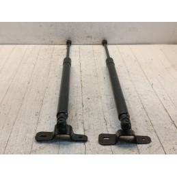 Coppia pistoncini molle portellone posteriore Jeep Compass 2 serie 2016  A10072