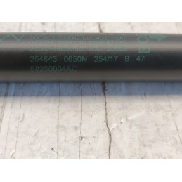 Coppia pistoncini molle portellone posteriore Jeep Compass 2 serie 2016  A10072
