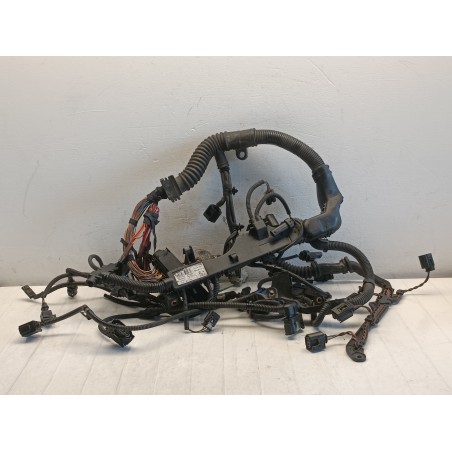 Cablaggio motore Bmw X1 E84 2009 2015 2.0D N47D20C 850721103  A10639