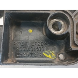 Bobina accensione Peugeot 307 2.0B Citroen 2001 2009 9634131480  A10814