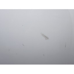 Porta Posteriore Destra Dacia Sandero Seconda Serie Bianca 2012 2021  B3747