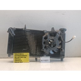 Radiatore raffreddamento con ventola griglia Zontes ZT350 GK 2025  A11031