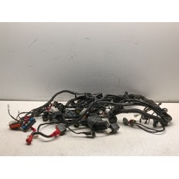 Cablaggio impianto elettrico motore Zontes ZT350 GK 2025 ZT184MP  A11050