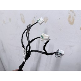 Portellone Posteriore Renault Koleos Completo Lunotto 901008835R  B3827